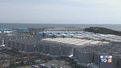 Nell'oceano l'acqua di Fukushima
