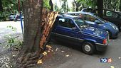 Nord, frane e nubifragi ancora roghi in Sicilia