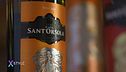 La cultura del vino di Casa Sant'Orsola