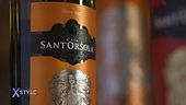 La cultura del vino di Casa Sant'Orsola