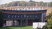 Ca' del Bosco: un viaggio nel vino nobile