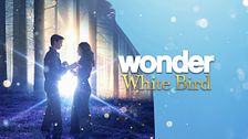 Wonder - White bird