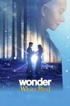Wonder - White bird