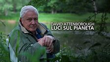 David Attenborough - Luci sul pianeta