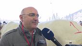 La Fiera del bue grasso di Carrù
