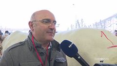 La Fiera del bue grasso di Carrù