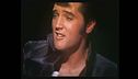 Elvis, il giorno del mito