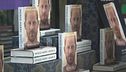 Tutti in fila per il libro di Harry