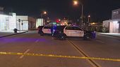 Usa, 10 morti al Capodanno cinese