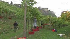 Il Castello di Brescia e la sua vigna urbana, la più grande d'Europa