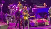 Il boss del rock è tornato