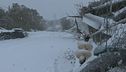 Neve e pioggia, allerta in Sicilia