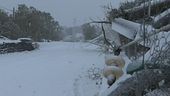 Neve e pioggia, allerta in Sicilia