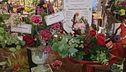I fiori giusti per San Valentino