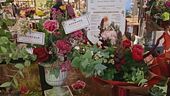 I fiori giusti per San Valentino