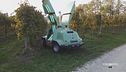 Un robot per le vigne