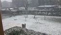 Freddo con pioggia, neve e vento