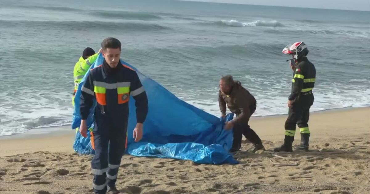 Studio Aperto: Gli scafisti volevano scappare Video | Mediaset Infinity