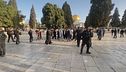 Gerusalemme, scontri in moschea