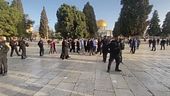 Gerusalemme, scontri in moschea