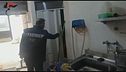 Ospedali, topi e blatte in cucina