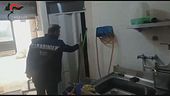 Ospedali, topi e blatte in cucina