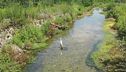 Un piano per non sprecare l'acqua