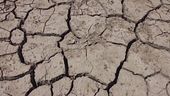 Earth day, salviamo il pianeta