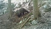 Nuovo stop, JJ4 si salva ancora