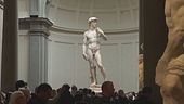 David, sì al diritto di immagine