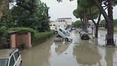 Dal fango spuntano gli sciacalli