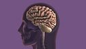 Microchip nel cervello, via libera