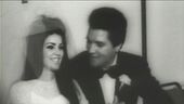 "Elvis and me" a Venezia