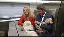 Quest'estate treno gratis per fido