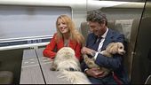 Quest'estate treno gratis per fido