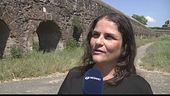 E ora a Roma è allarme serpenti