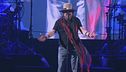 Zucchero, tour nella grande bellezza