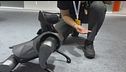 Ecco i pet-robot da compagnia