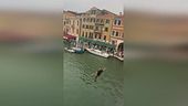 Nuovo tuffo dal ponte di Rialto