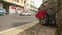 Ucciso da un pirata dopo la disco
