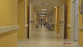 Mazzette e veleni, scandalo a Bari