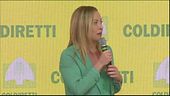 "Pochi soldi, manovra senza sprechi"