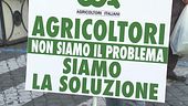 Rincari folli, agricoltori in piazza