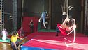 Ecco a voi i "dottori" del circo