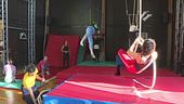 Ecco a voi i "dottori" del circo