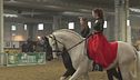 Il mondo del cavallo in fiera
