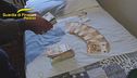 Arrestata la banda del Fentanyl