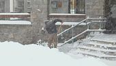 Neve al nord, primavera al sud
