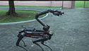 L'arma arruola "Saetta", cane robot