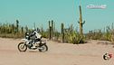 Rally del Messico